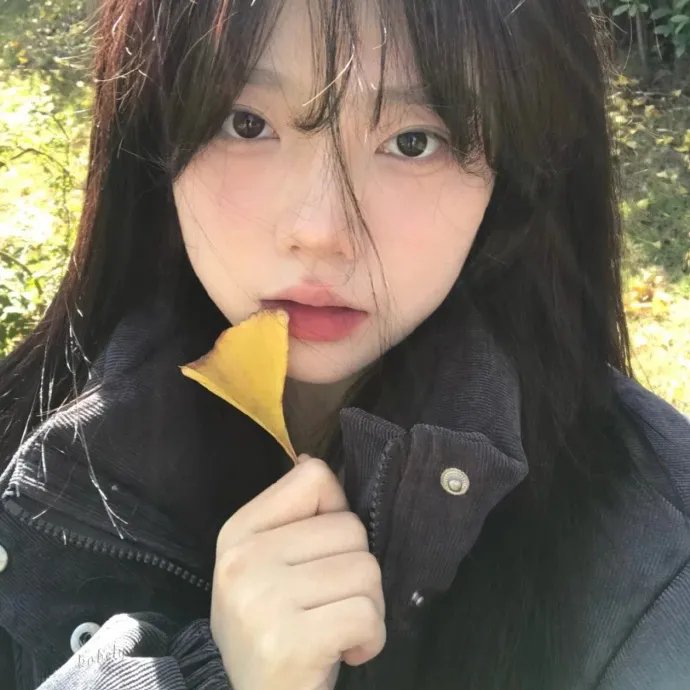 与螂共舞